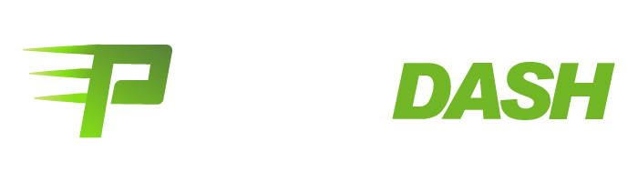 Playdash Logo